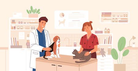 Cirugía veterinaria