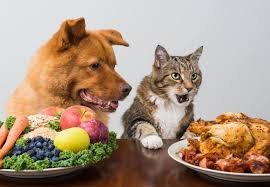 Asesoría nutricional